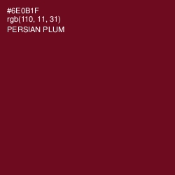 #6E0B1F - Persian Plum Color Image